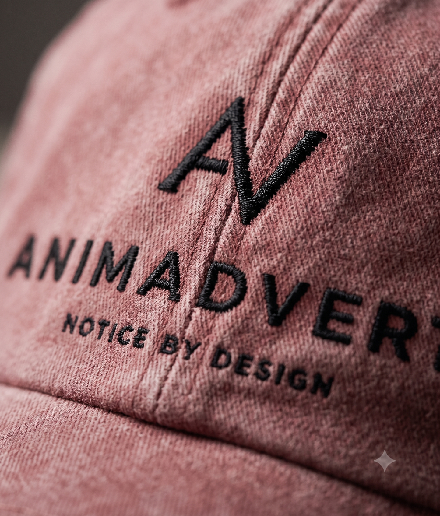Animadverti The Everyday Cap
